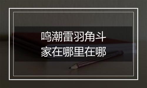 鸣潮雷羽角斗家在哪里在哪