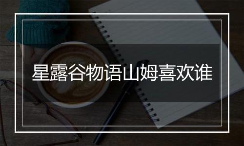 星露谷物语山姆喜欢谁