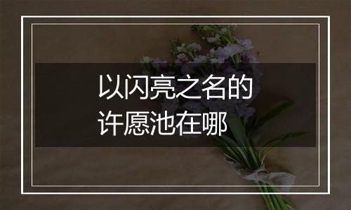 以闪亮之名的许愿池在哪