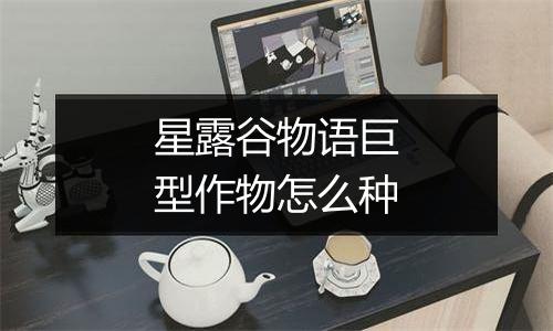 星露谷物语巨型作物怎么种