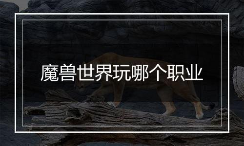 魔兽世界玩哪个职业