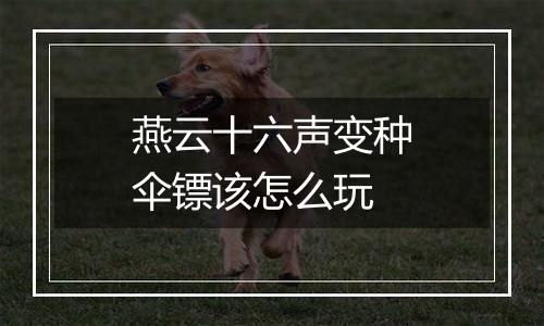 燕云十六声变种伞镖该怎么玩