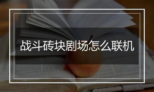 战斗砖块剧场怎么联机