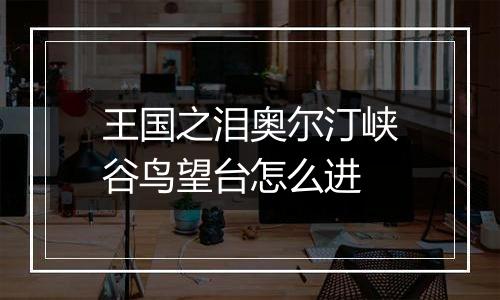王国之泪奥尔汀峡谷鸟望台怎么进