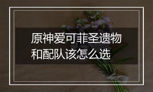 原神爱可菲圣遗物和配队该怎么选