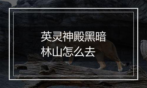 英灵神殿黑暗林山怎么去