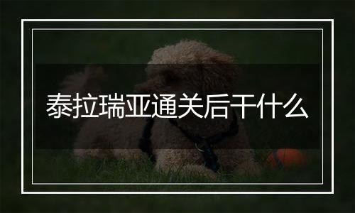 泰拉瑞亚通关后干什么