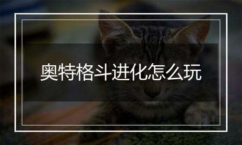 奥特格斗进化怎么玩