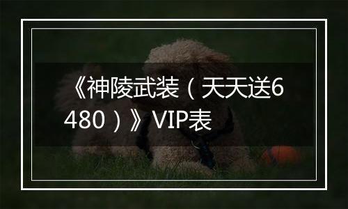 《神陵武装（天天送6480）》VIP表