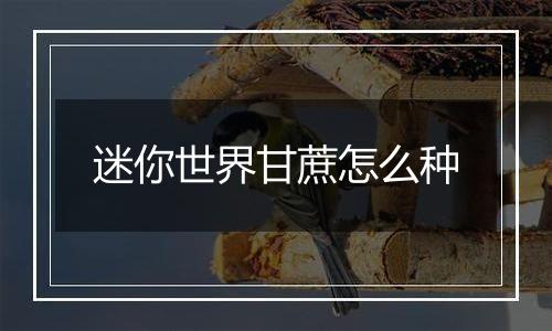 迷你世界甘蔗怎么种