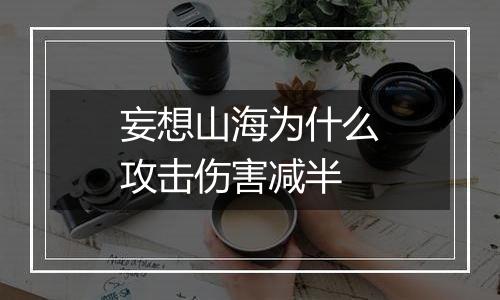 妄想山海为什么攻击伤害减半