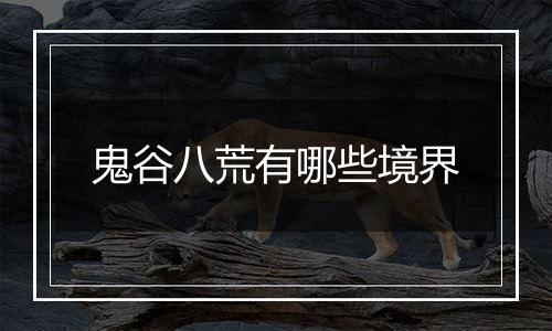 鬼谷八荒有哪些境界