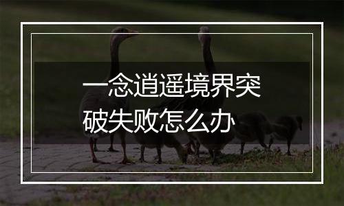 一念逍遥境界突破失败怎么办