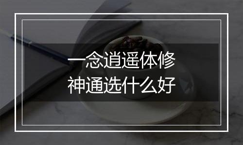 一念逍遥体修神通选什么好
