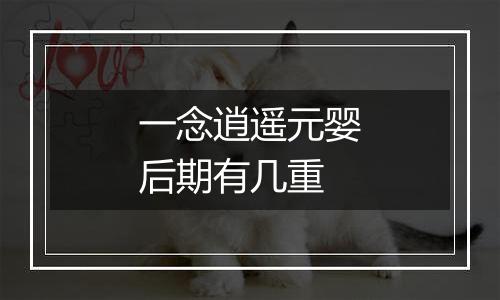 一念逍遥元婴后期有几重