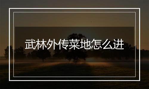 武林外传菜地怎么进