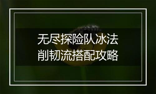 无尽探险队冰法削韧流搭配攻略