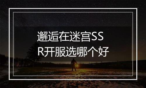 邂逅在迷宫SSR开服选哪个好