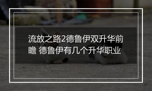流放之路2德鲁伊双升华前瞻 德鲁伊有几个升华职业