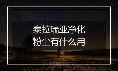 泰拉瑞亚净化粉尘有什么用