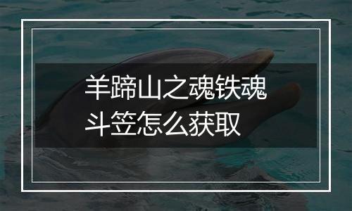 羊蹄山之魂铁魂斗笠怎么获取