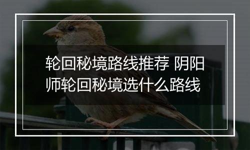 轮回秘境路线推荐 阴阳师轮回秘境选什么路线