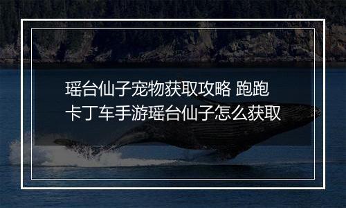 瑶台仙子宠物获取攻略 跑跑卡丁车手游瑶台仙子怎么获取