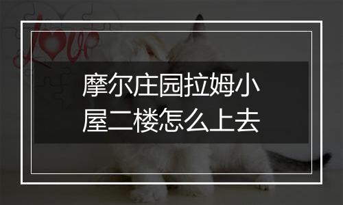 摩尔庄园拉姆小屋二楼怎么上去