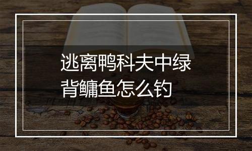 逃离鸭科夫中绿背鳙鱼怎么钓