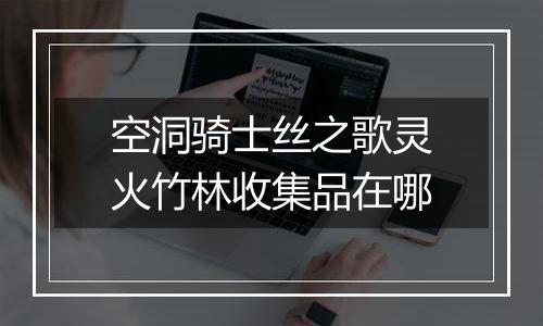 空洞骑士丝之歌灵火竹林收集品在哪