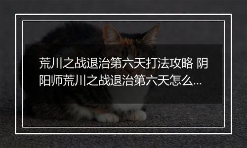 荒川之战退治第六天打法攻略 阴阳师荒川之战退治第六天怎么打
