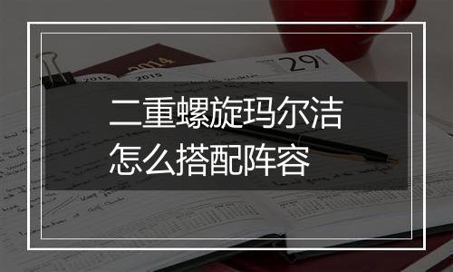 二重螺旋玛尔洁怎么搭配阵容