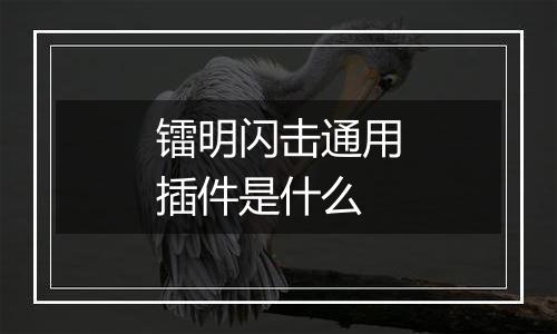 镭明闪击通用插件是什么