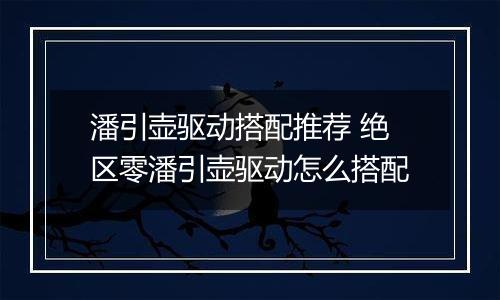 潘引壶驱动搭配推荐 绝区零潘引壶驱动怎么搭配