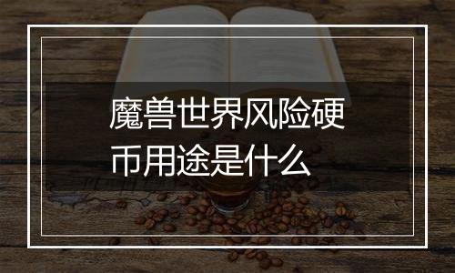 魔兽世界风险硬币用途是什么