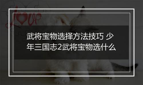武将宝物选择方法技巧 少年三国志2武将宝物选什么