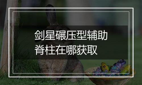 剑星碾压型辅助脊柱在哪获取