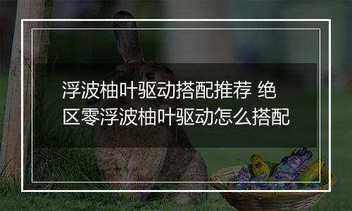 浮波柚叶驱动搭配推荐 绝区零浮波柚叶驱动怎么搭配