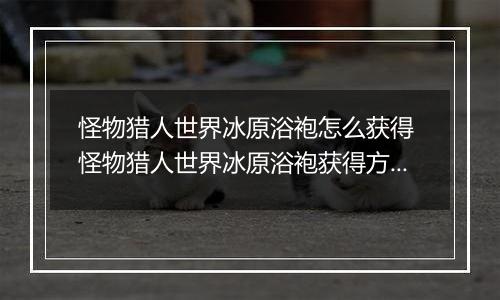 怪物猎人世界冰原浴袍怎么获得 怪物猎人世界冰原浴袍获得方法