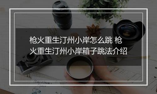 枪火重生汀州小岸怎么跳 枪火重生汀州小岸箱子跳法介绍