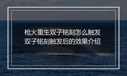 枪火重生双子铭刻怎么触发 双子铭刻触发后的效果介绍
