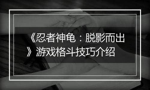 《忍者神龟:脱影而出》游戏格斗技巧介绍