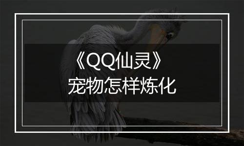 《QQ仙灵》宠物怎样炼化