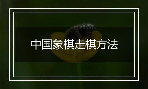 中国象棋走棋方法