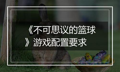 《不可思议的篮球》游戏配置要求