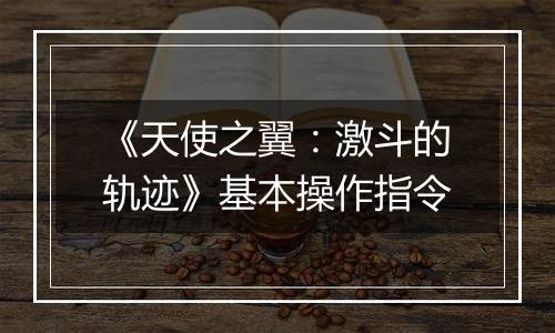 《天使之翼：激斗的轨迹》基本操作指令