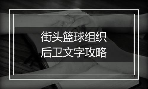 街头篮球组织后卫文字攻略