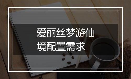 爱丽丝梦游仙境配置需求