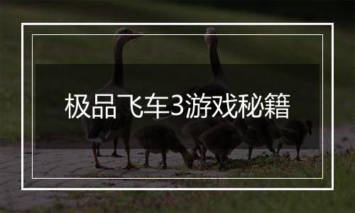 极品飞车3游戏秘籍