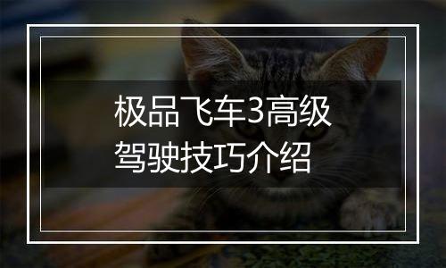 极品飞车3高级驾驶技巧介绍